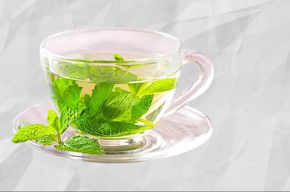 A steaming cup of vibrant green tea surrounded by fresh tea leaves, symbolizing health and longevity