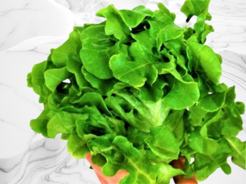 A bowl of fresh leafy greens symbolizing healthy eating during intermittent fasting.