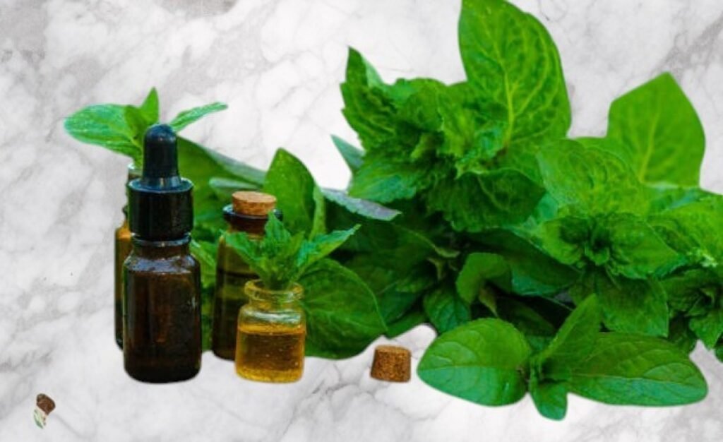Amber bottle of peppermint essential oil with fresh peppermint leaves on a wooden table.
