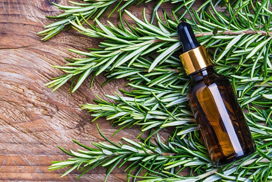 Bottle of rosemary essential oil with fresh rosemary sprigs on a rustic wooden surface.