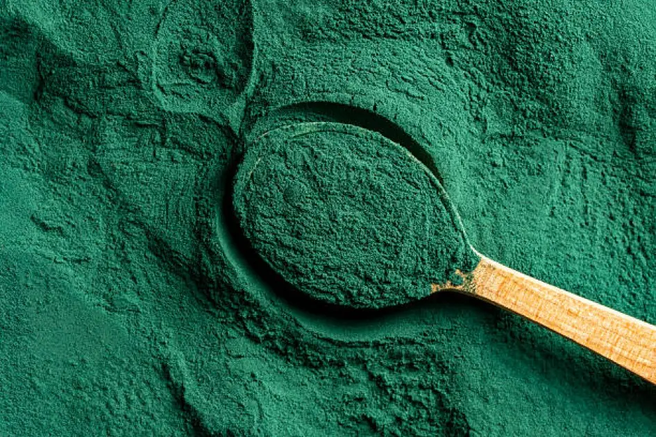 Vibrant green spirulina powder, the future's ultimate superfood, displayed in a natural setting