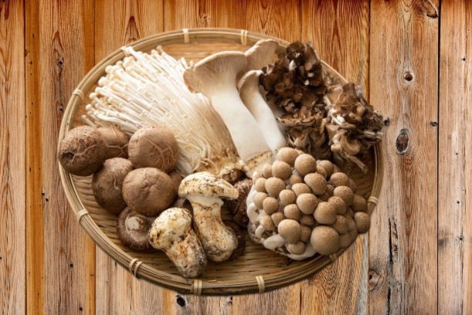 Assorted mushrooms, key superfoods to boost immunity