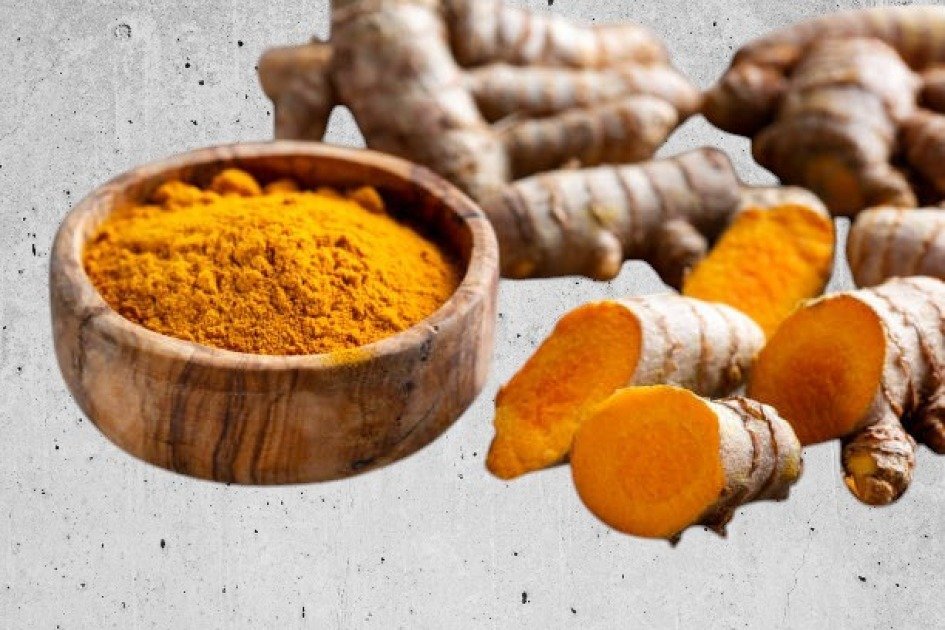 Golden turmeric root and powder, a powerful natural immune booster.