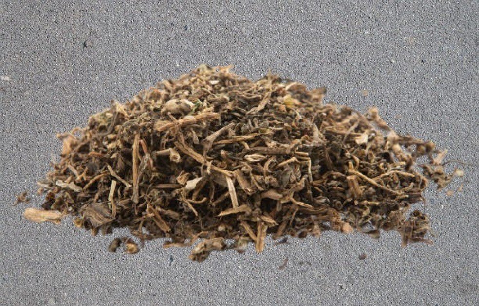 Fresh Valerian root with earthy tones, highlighting its natural calming properties.