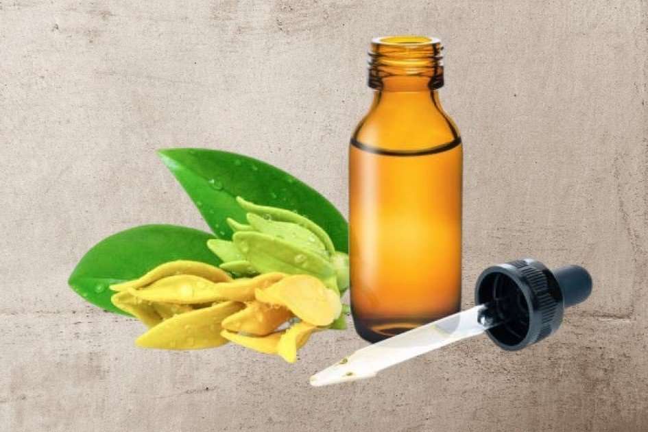 A bottle of ylang-ylang essential oil with fresh ylang-ylang flowers on a natural wooden surface.