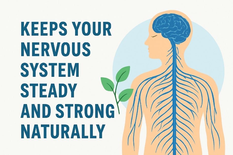 Healthy nervous system support for balanced stress response and strong mental clarity