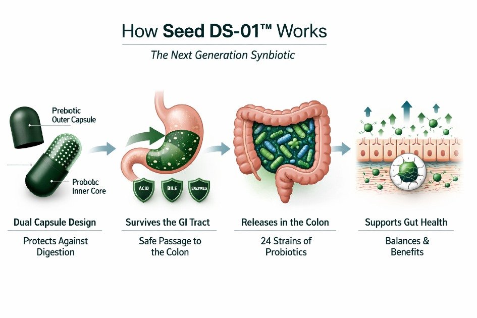 Seed DS-01 daily synbiotic showing gut microbiome support in action