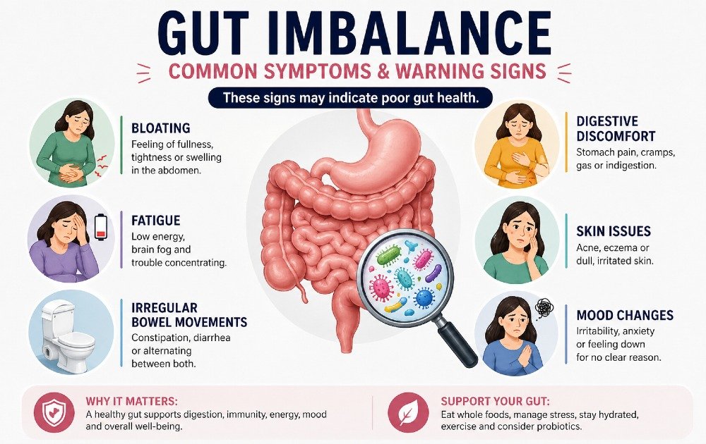 Clear visual highlighting common gut imbalance symptoms such as bloating, digestive discomfort, and disrupted gut health.