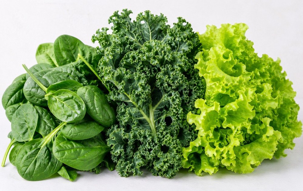 Fresh leafy greens including spinach, kale, and lettuce arranged together as a healthy natural food selection.